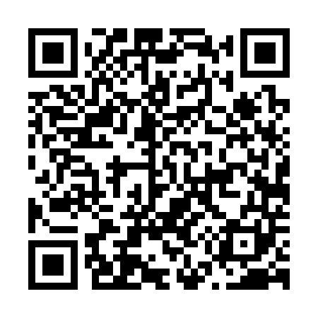 QR code for N54341