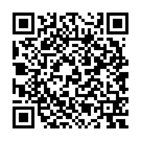 QR code for N546603