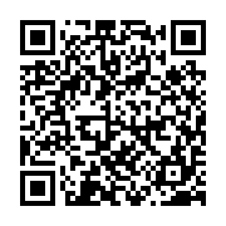 QR code for N55294