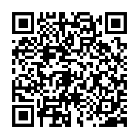 QR code for N553916