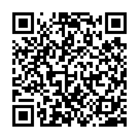 QR code for N55631