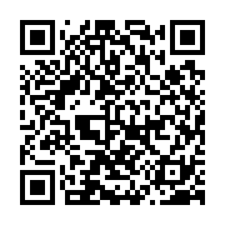 QR code for N55731