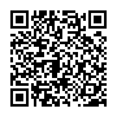 QR code for N565296