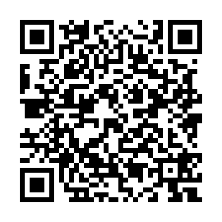 QR code for N585281