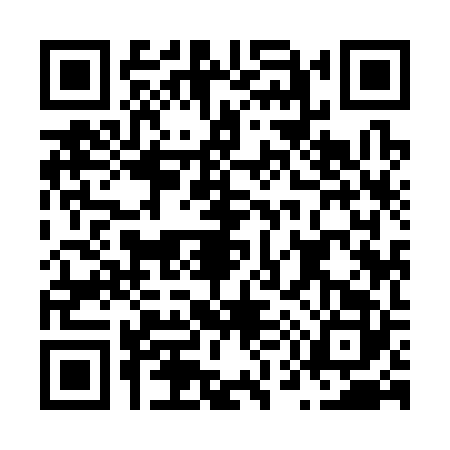 QR code for N593228