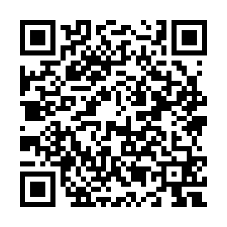QR code for N593602