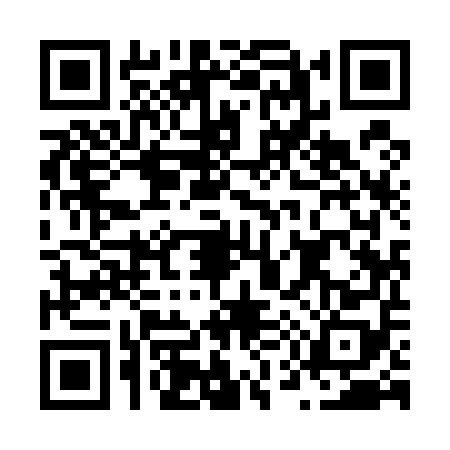 QR code for N595580