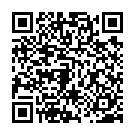 QR code for N596253
