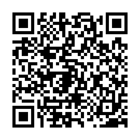 QR code for N597138