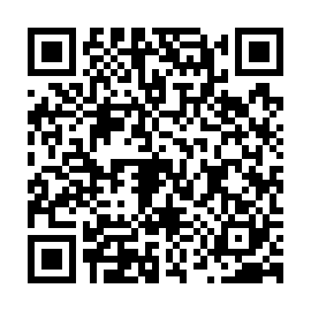 QR code for N597204