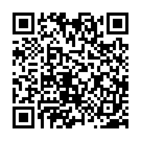 QR code for N603539