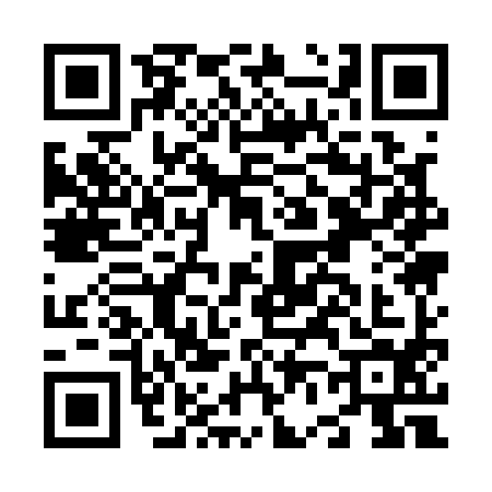 QR code for N611949