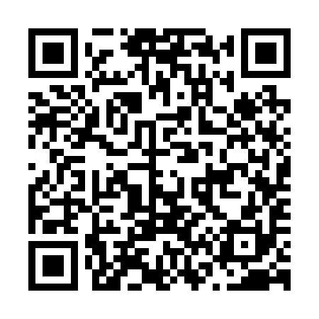 QR code for N63290