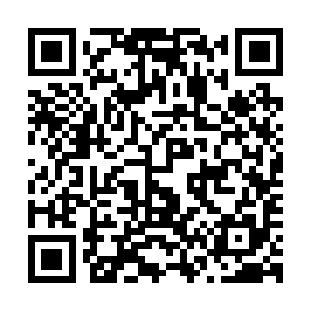 QR code for N63295
