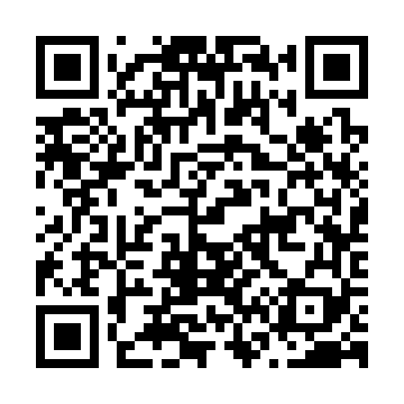 QR code for N63369
