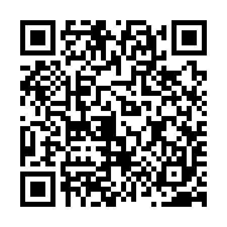 QR code for N633973