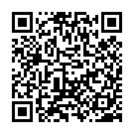 QR code for N63451