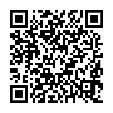 QR code for N63993