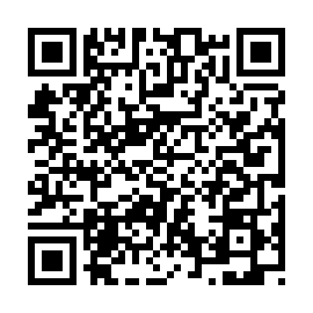 QR code for N641489