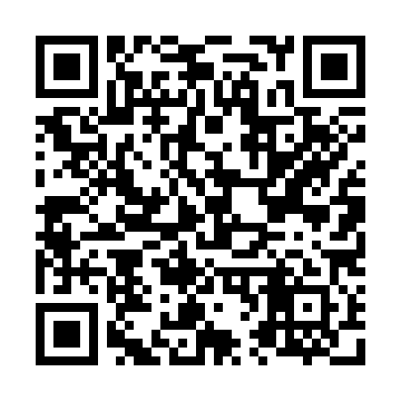 QR code for N64381
