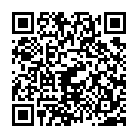 QR code for N646362