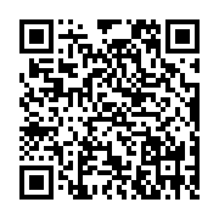 QR code for N646381