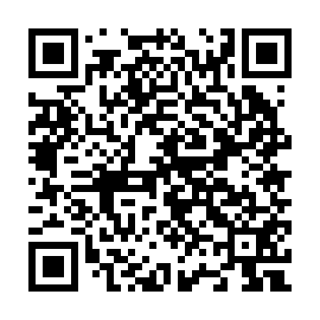 QR code for N65251