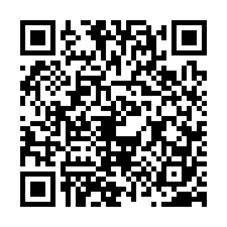 QR code for N663628