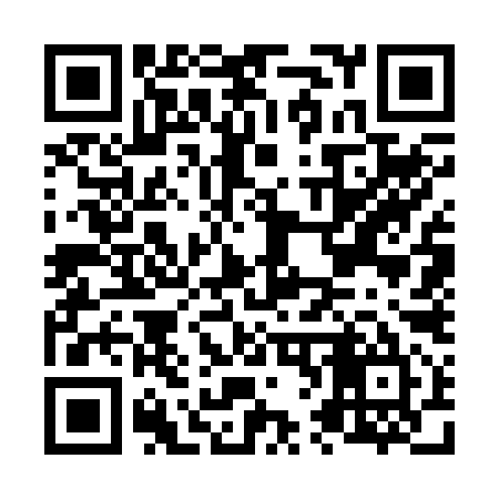 QR code for N67295