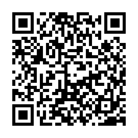 QR code for N69133