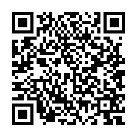 QR code for N741666