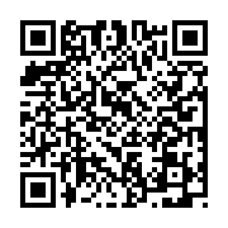 QR code for N775294