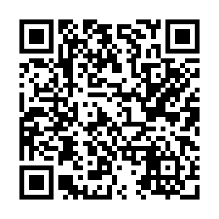 QR code for N78384