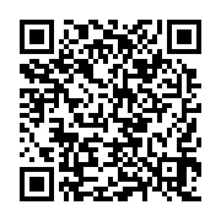 QR code for N80313