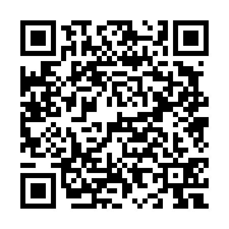 QR code for N804313