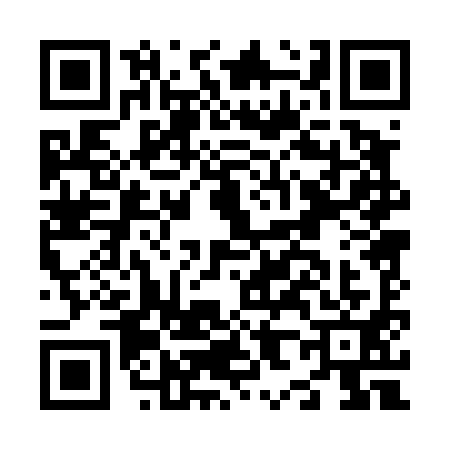 QR code for N804919