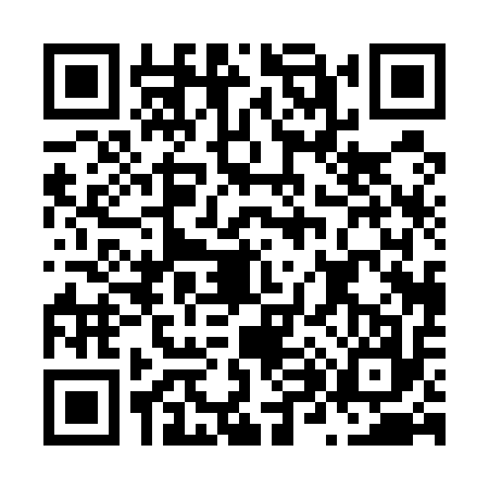 QR code for N805173