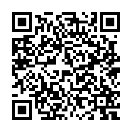 QR code for N810271