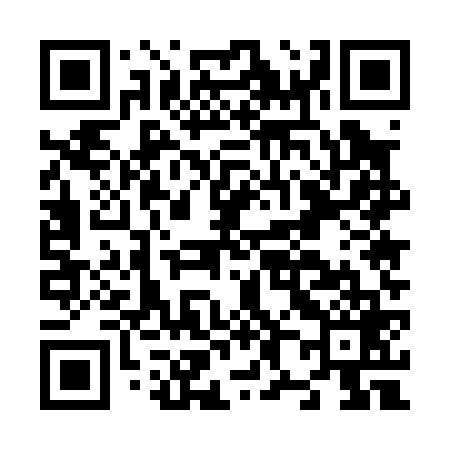 QR code for N85069