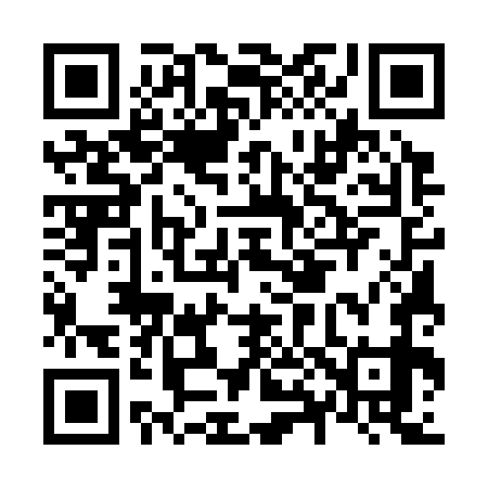 QR code for N85379