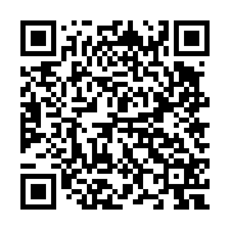QR code for N85424