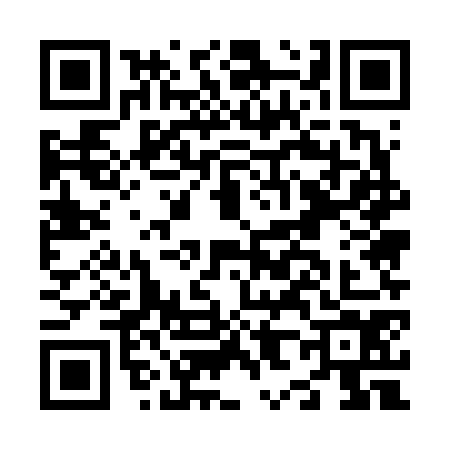 QR code for N856741