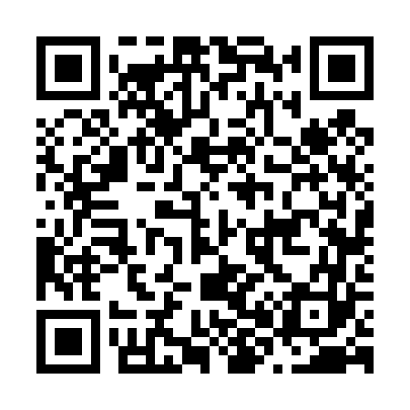 QR code for N86463