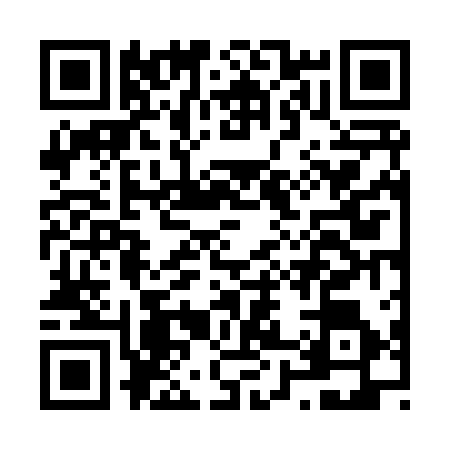 QR code for N868168
