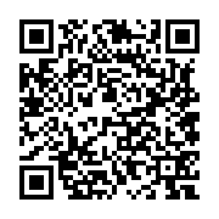 QR code for N868725