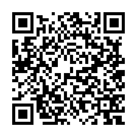 QR code for N878763