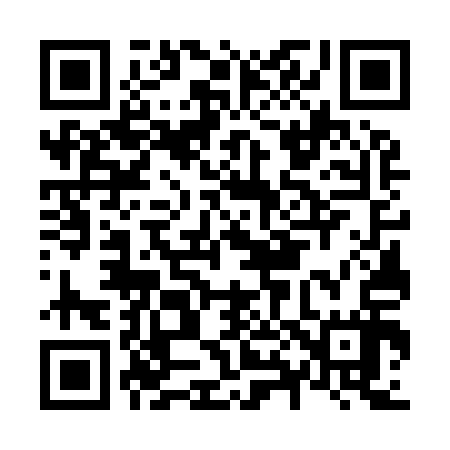 QR code for N87917