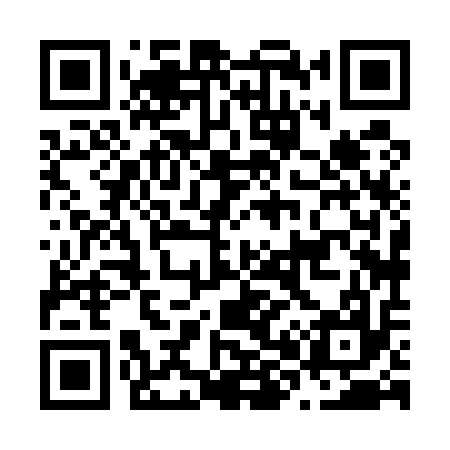 QR code for N88517
