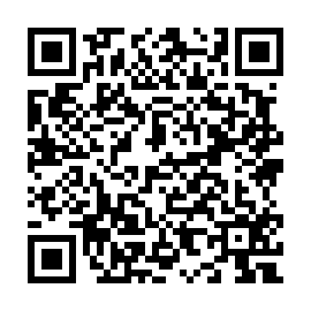 QR code for N894161