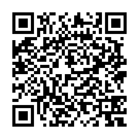 QR code for N894384